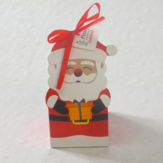 Little Girls’ Santa Mystery Box – Christmas Surprise Set with Hair Pins & Bracelets