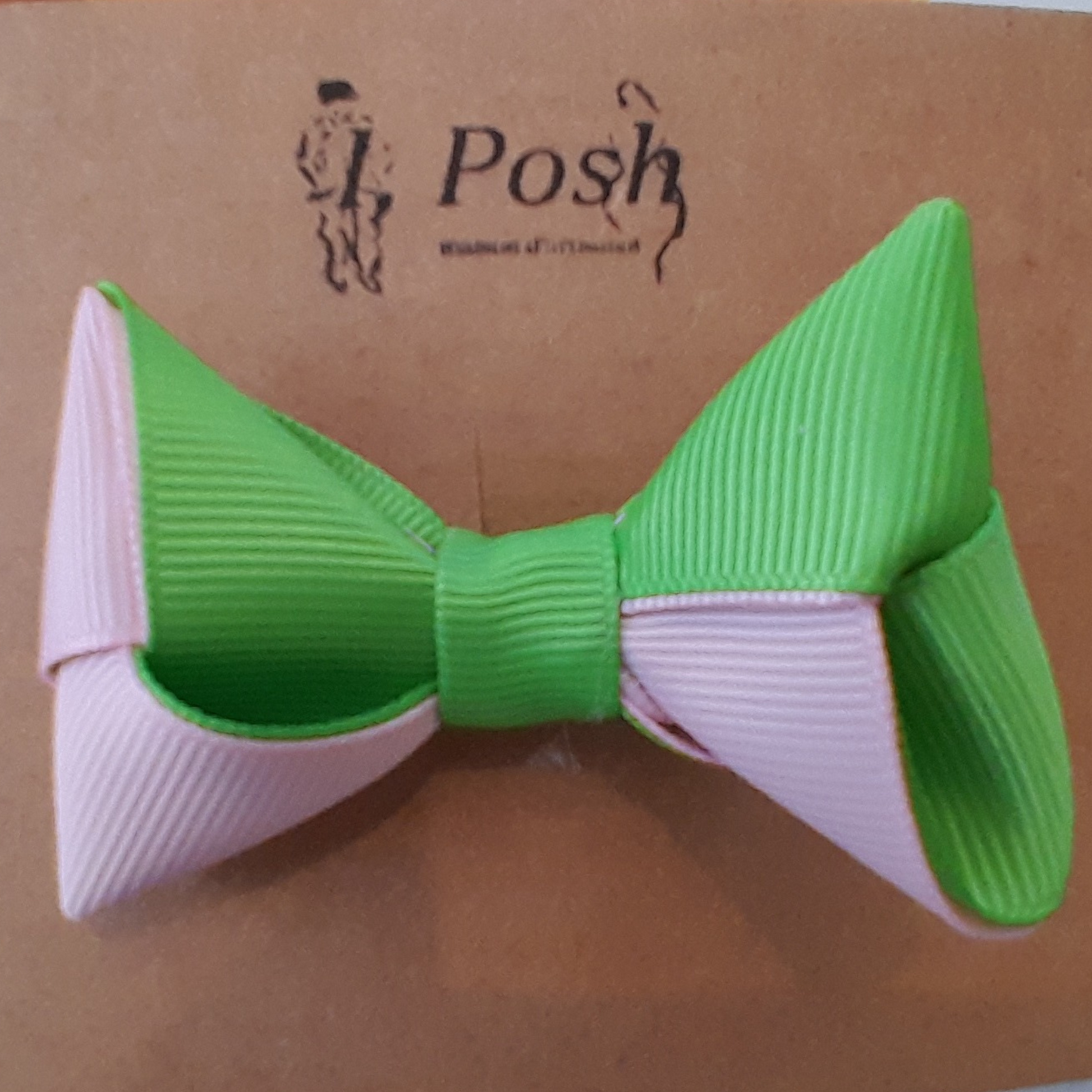 Pink & Green Grosgrain Double Loop Hair Bow